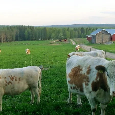 Anssilan Maatila Hotel 2*